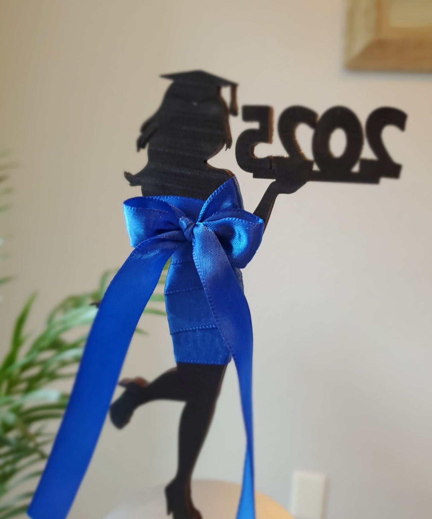 2025 Graduation Cake Topper, Graduation Cake Decoration, Grad Cake Accessory, Perfect Graduation Cake Accent, Cake Centerpiece
