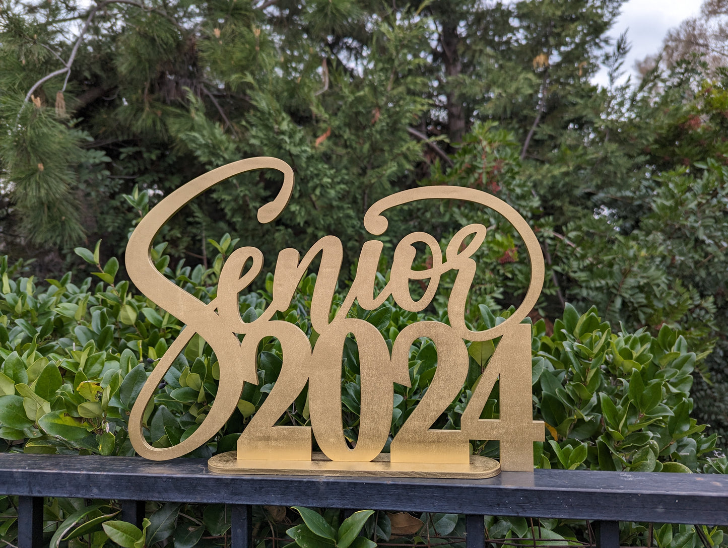 Senior 2025 Wooden Sign with a Stand