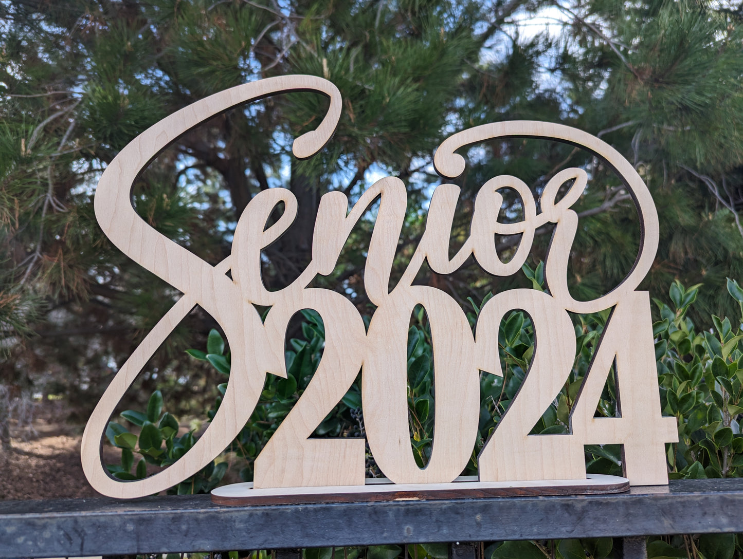 Senior 2025 Wooden Sign with a Stand