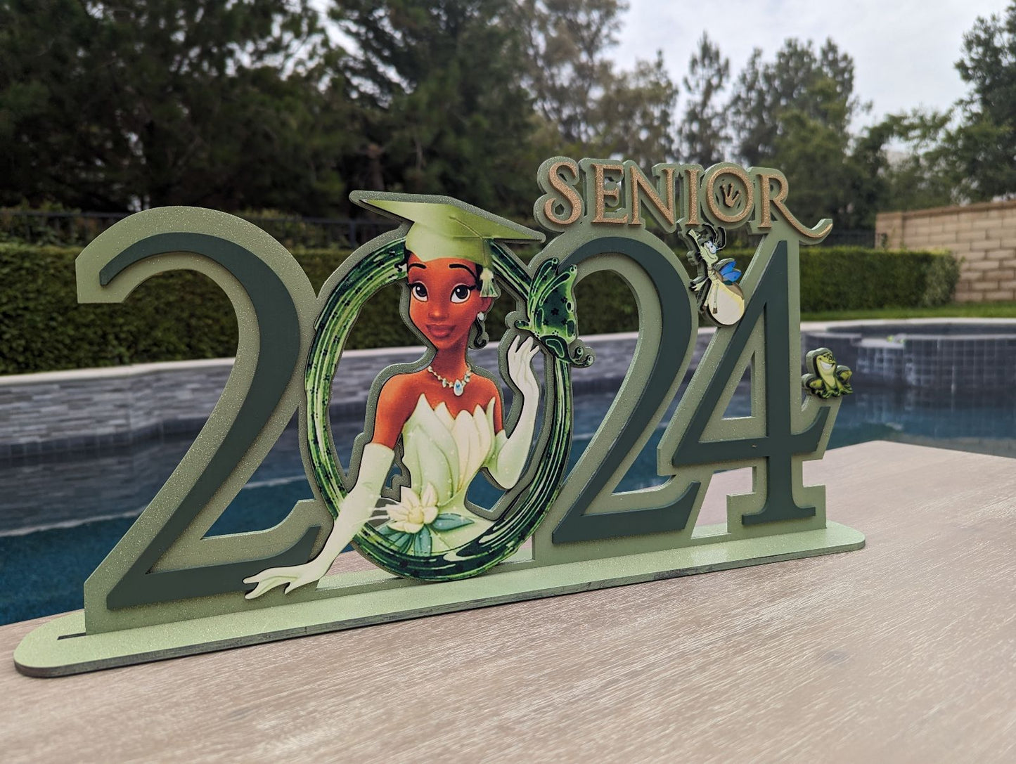 Tiana Graduation wooden sign, Personalized princess Tiana class of 2025 Graduation sing