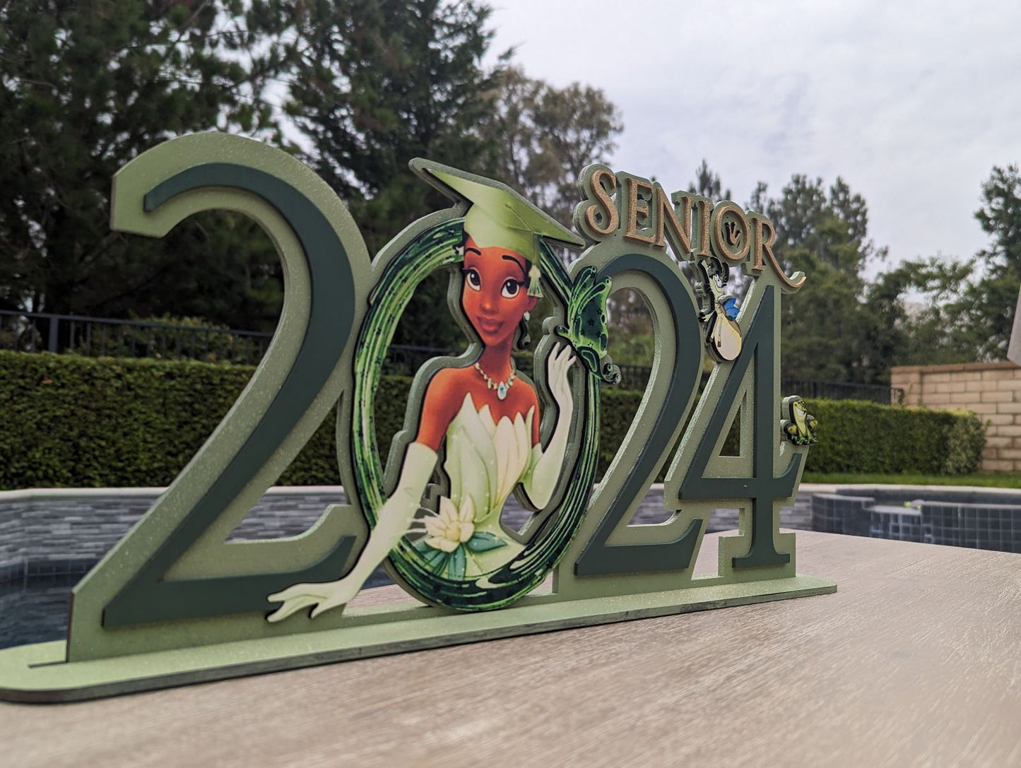 Tiana Graduation wooden sign, Personalized princess Tiana class of 2025 Graduation sing