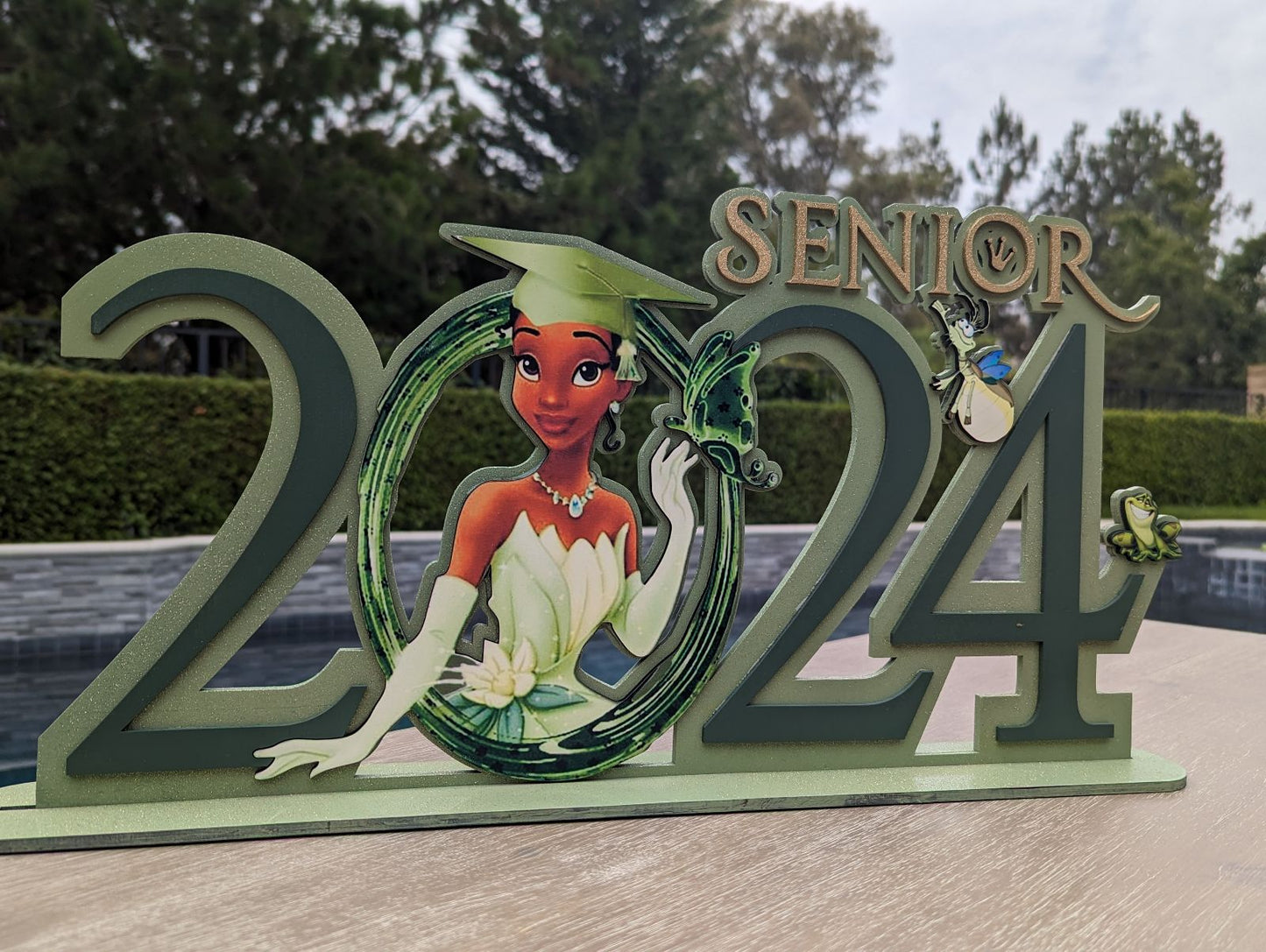 Tiana Graduation wooden sign, Personalized princess Tiana class of 2025 Graduation sing