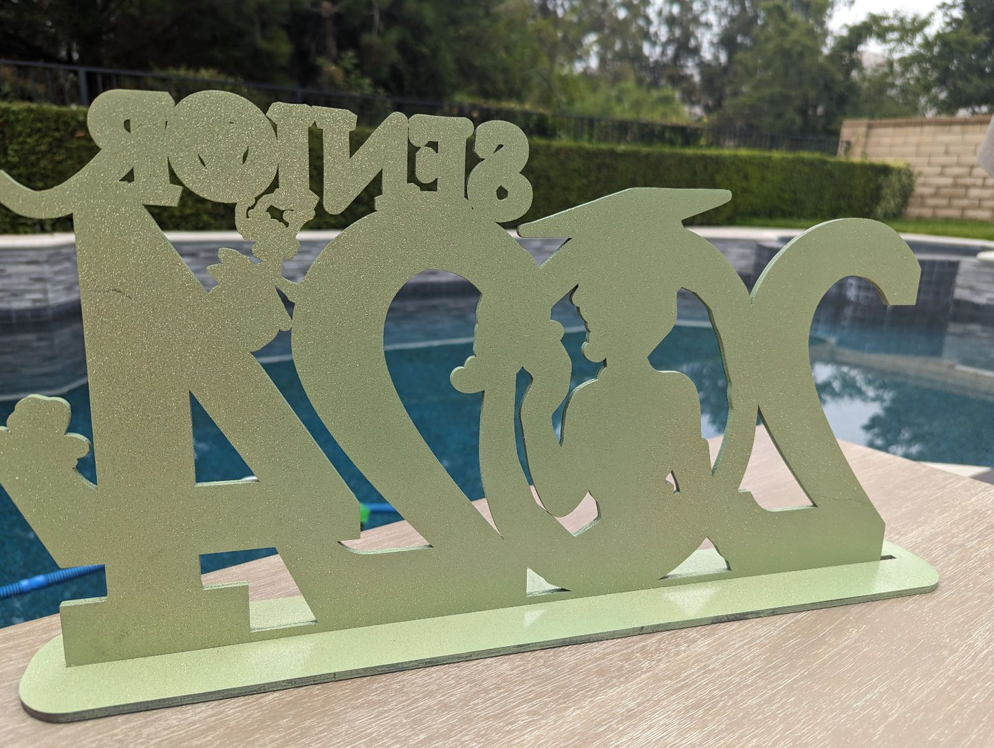 Tiana Graduation wooden sign, Personalized princess Tiana class of 2025 Graduation sing