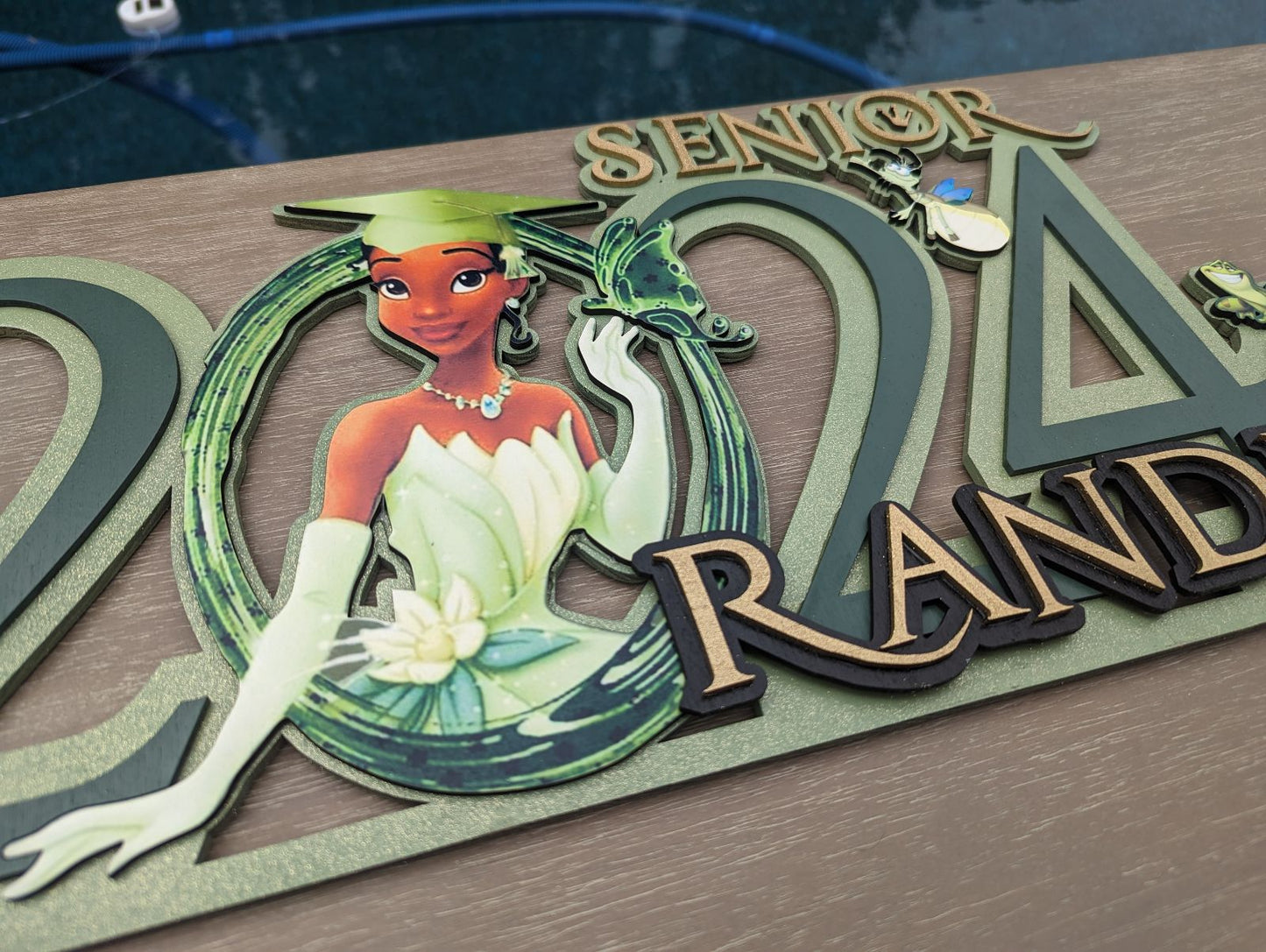 Tiana Graduation wooden sign, Personalized princess Tiana class of 2025 Graduation sing