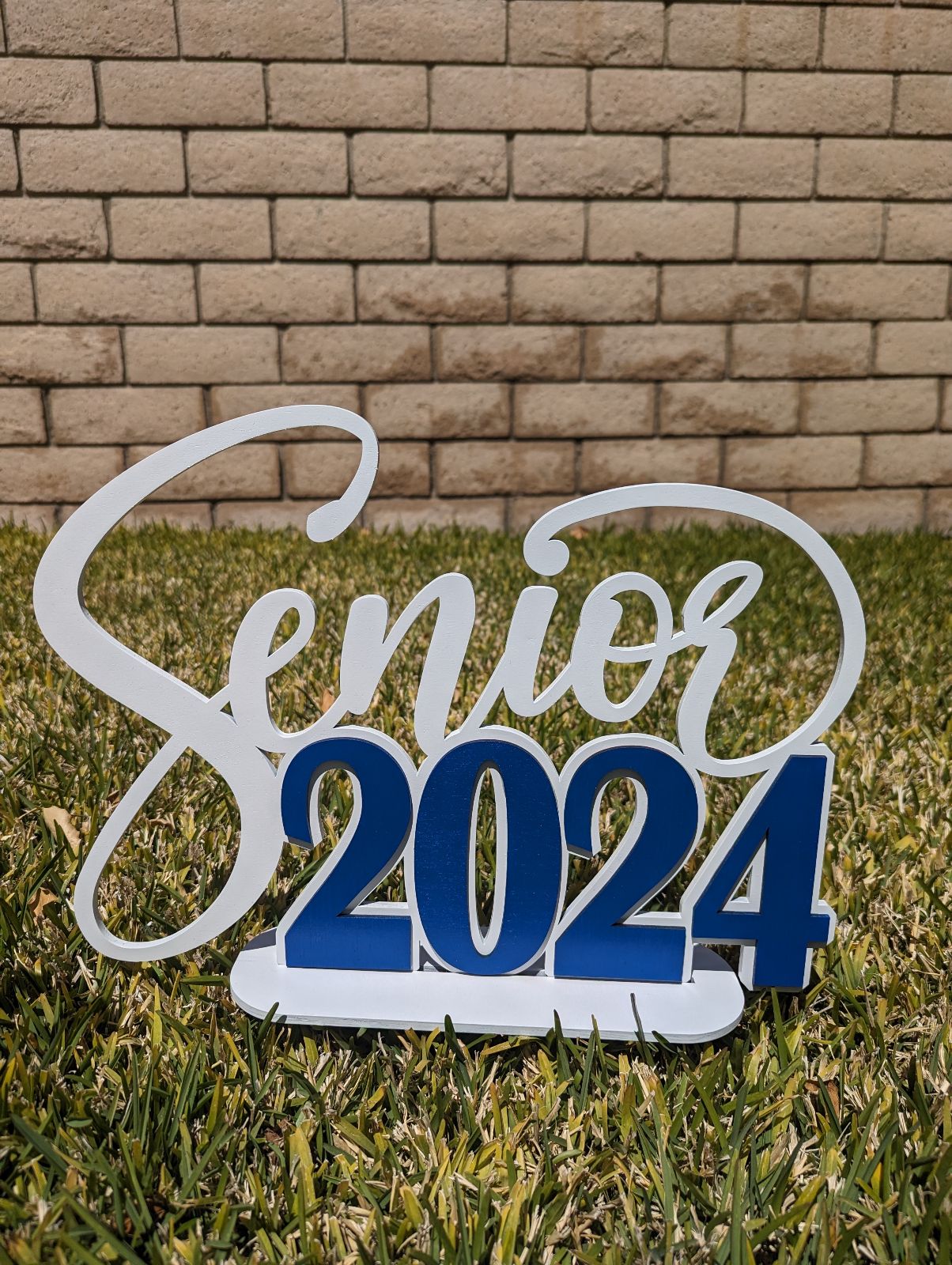 Senior 2025 Wooden Sign with a Stand