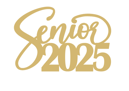 Senior 2025 Wooden Sign with a Stand