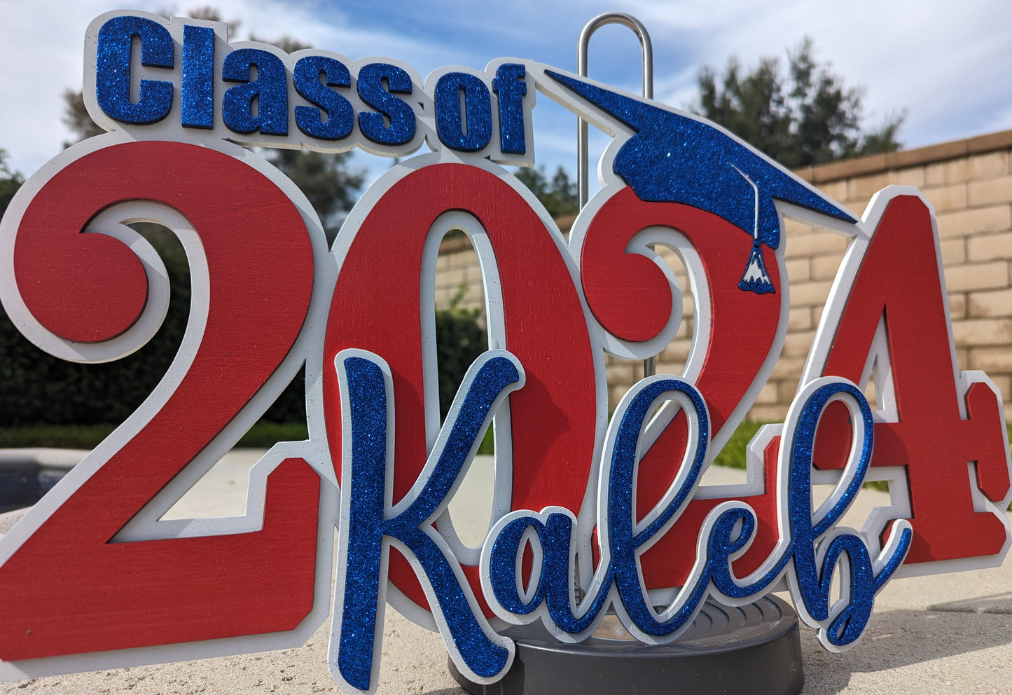 Class of 2025 Graduation Signs