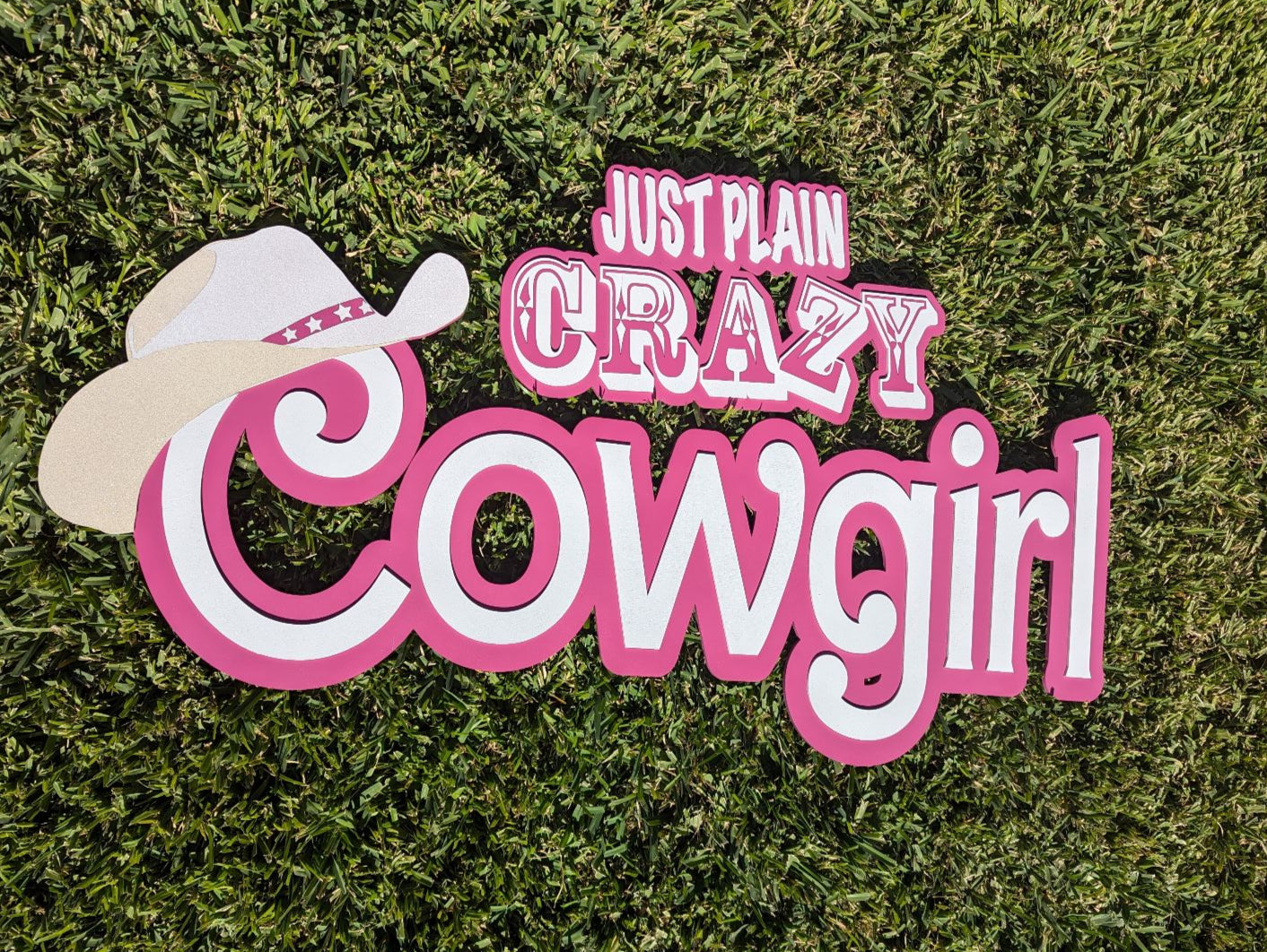 Cowgirl Barb-inspired sign, Cowgirl sign,