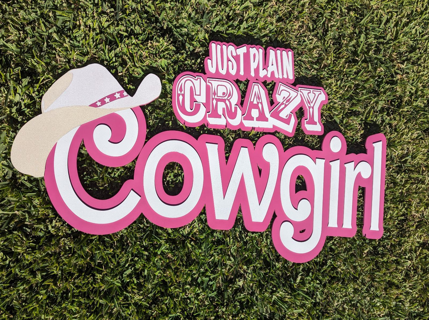 Cowgirl Barb-inspired sign, Cowgirl sign,